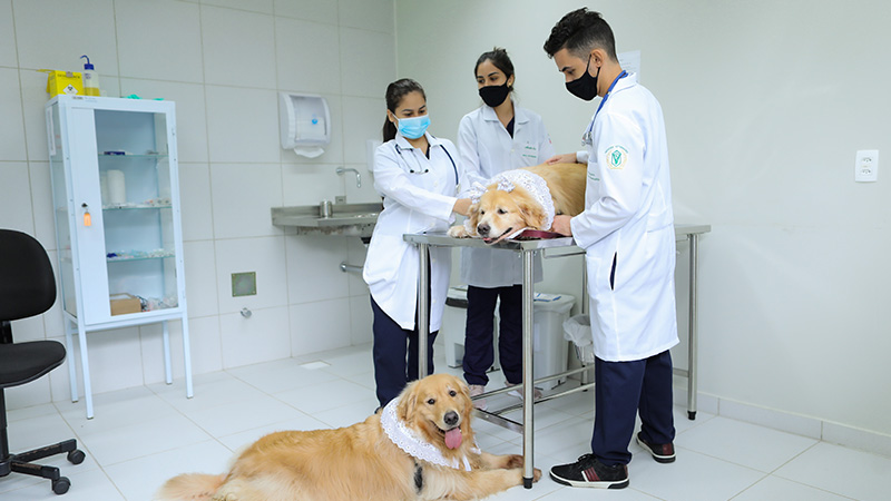 Clínica de atendimento