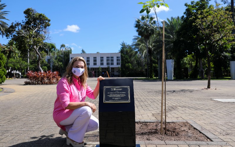 O plantio no campus da Universidade de Fortaleza encerrou a 14ª Semana Internacional do Meio Ambiente (Foto: Ares Soares)