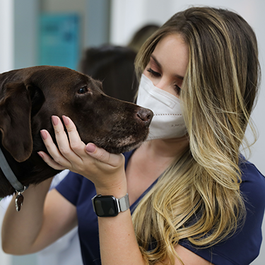 Complexo de Medicina Veterinária