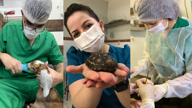 Da esquerda para a direita: Carlos Gabriel, Beatriz d'Almeida e Kesia Alves de Queiroz, futuros veterinários apaixonados pela profissão. (Fotos: Acervo Pessoal)