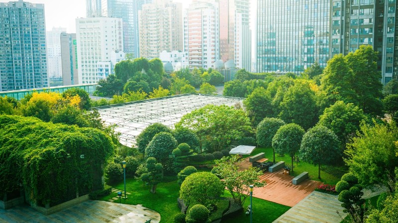 As infraestruturas verdes contribuem para a diminuição dos impactos causados pela urbanização (Foto: Getty Images)