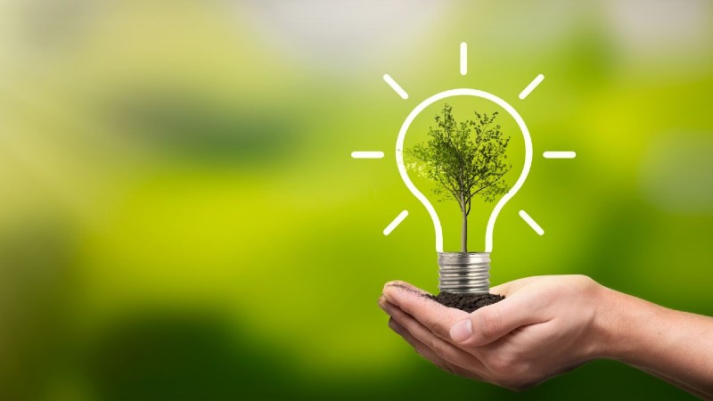 Adotar hábitos sustentáveis ajuda a preservação do meio ambiente e promove a qualidade de vida (Foto: Getty Images)