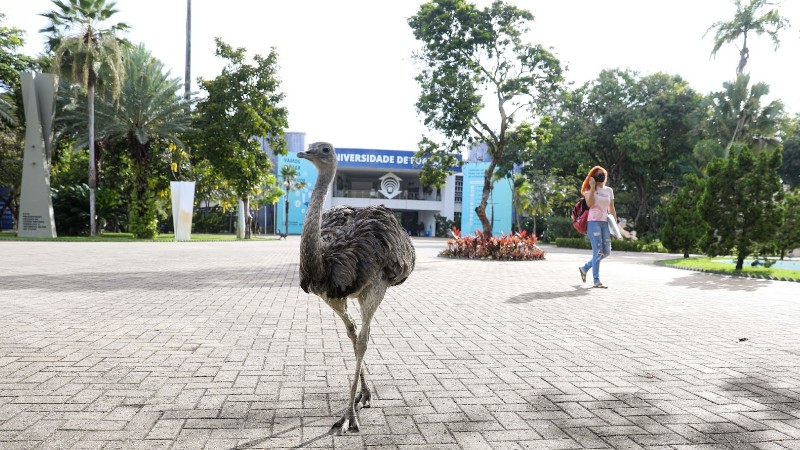 Publicação traz dicas para aproveitar as experiências do Campus Unifor (Foto: Ares Soares)