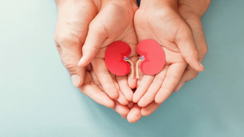 O Projeto Renal Health surgiu com o intuito de desenvolver estratégias tecnológicas de educação e auto monitoramento para a prevenção da doença renal crônica (Foto: Getty Images)