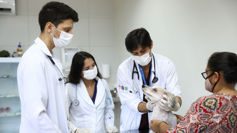 O treinamento supervisionado voluntário de férias, nas especialidades clínica e cirúrgica, terá duração de 19 dias (Foto: Ares Soares)