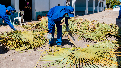 O trabalho com a carnaúba é uma atividade tradicional no Nordeste brasileiro, com valor muito relevante para a economia da região (Foto: João Neto)