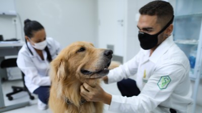 Serão disponibilizadas quatro vagas para estudantes a partir do 6º semestre (Foto: Ares Soares)