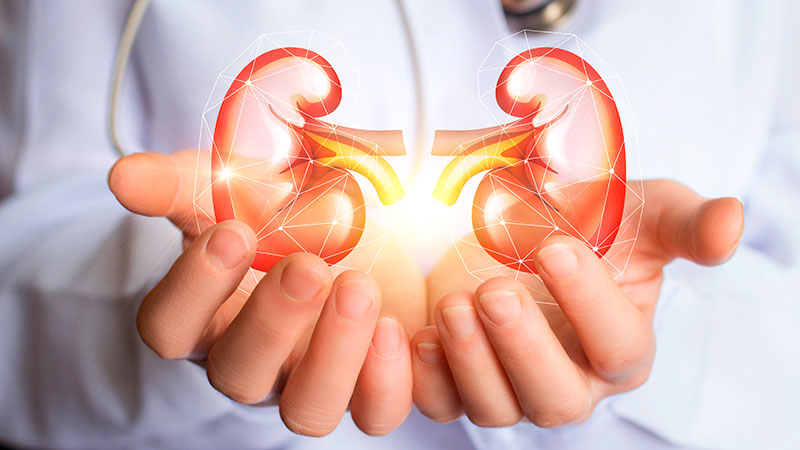 Idealizado pela Sociedade Internacional de Nefrologia (ISN), o Dia Mundial do Rim tem como objetivo reduzir o impacto da doença renal em todo o mundo