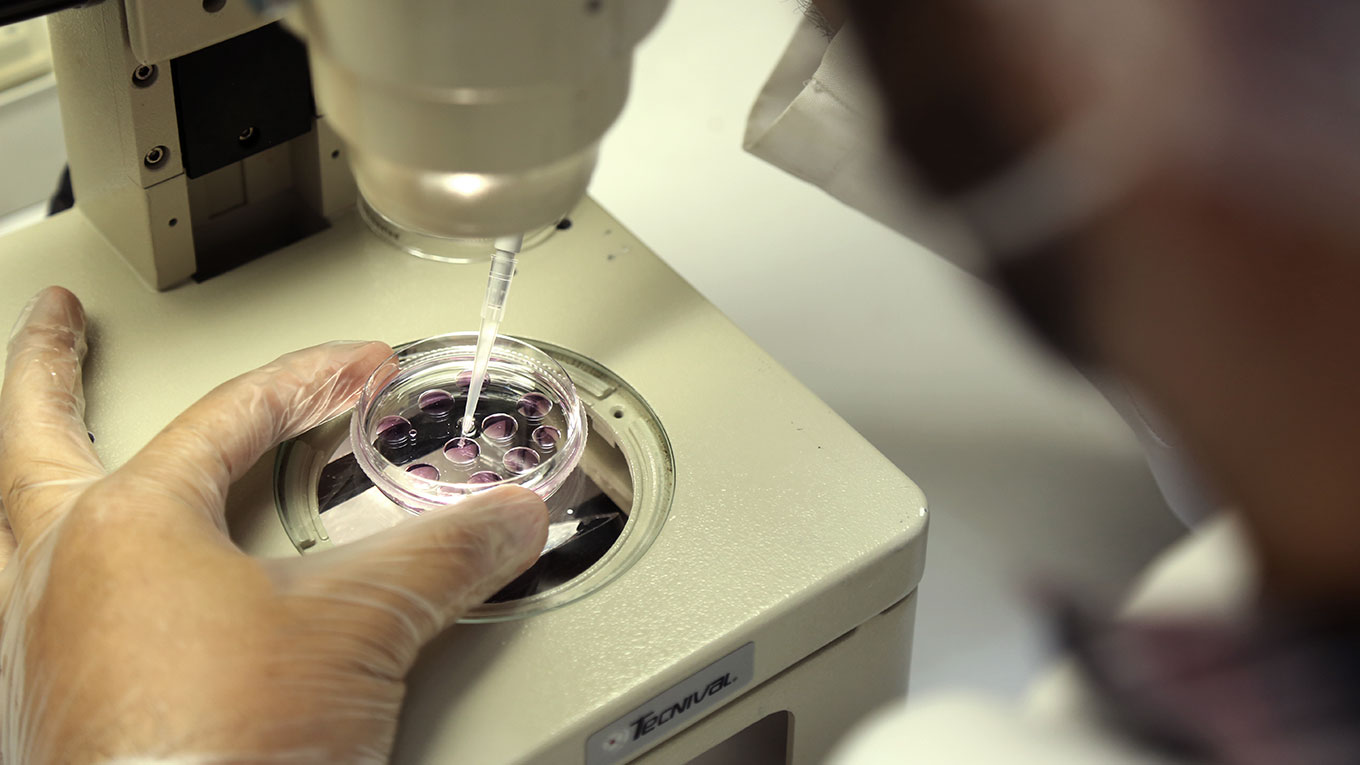 Pesquisador manipula substância em lâmina de microscópio