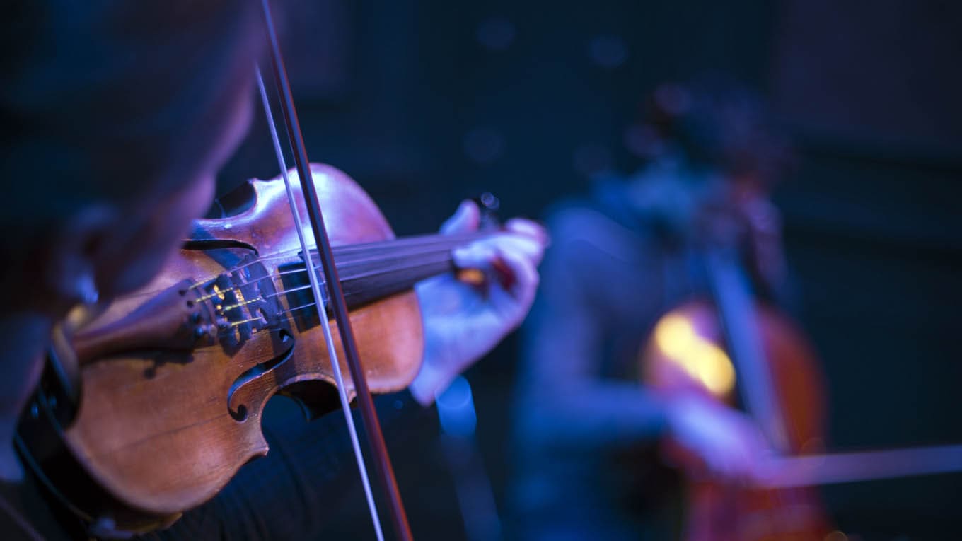 Pessoa segura um violino